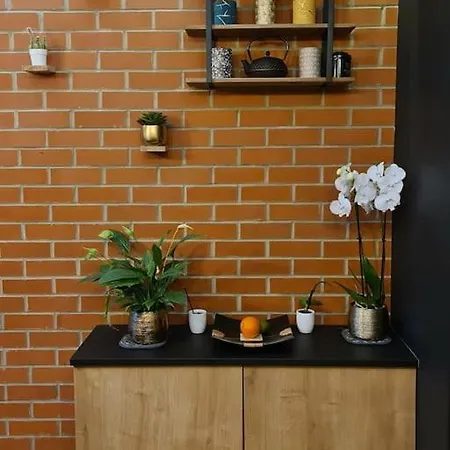 Maison Type 1930 Avec Jardin *