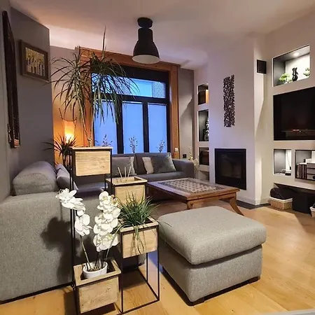 Villa Maison Type 1930 Avec Jardin *