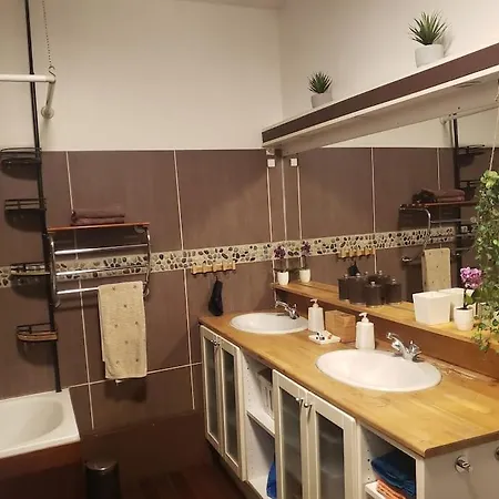Maison Type 1930 Avec Jardin Villa